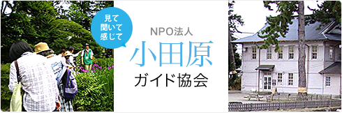 NPO法人 小田原ガイド協会