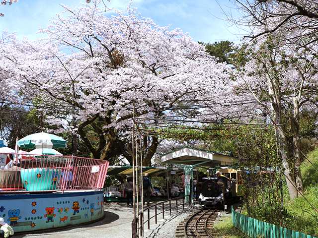 こども遊園地